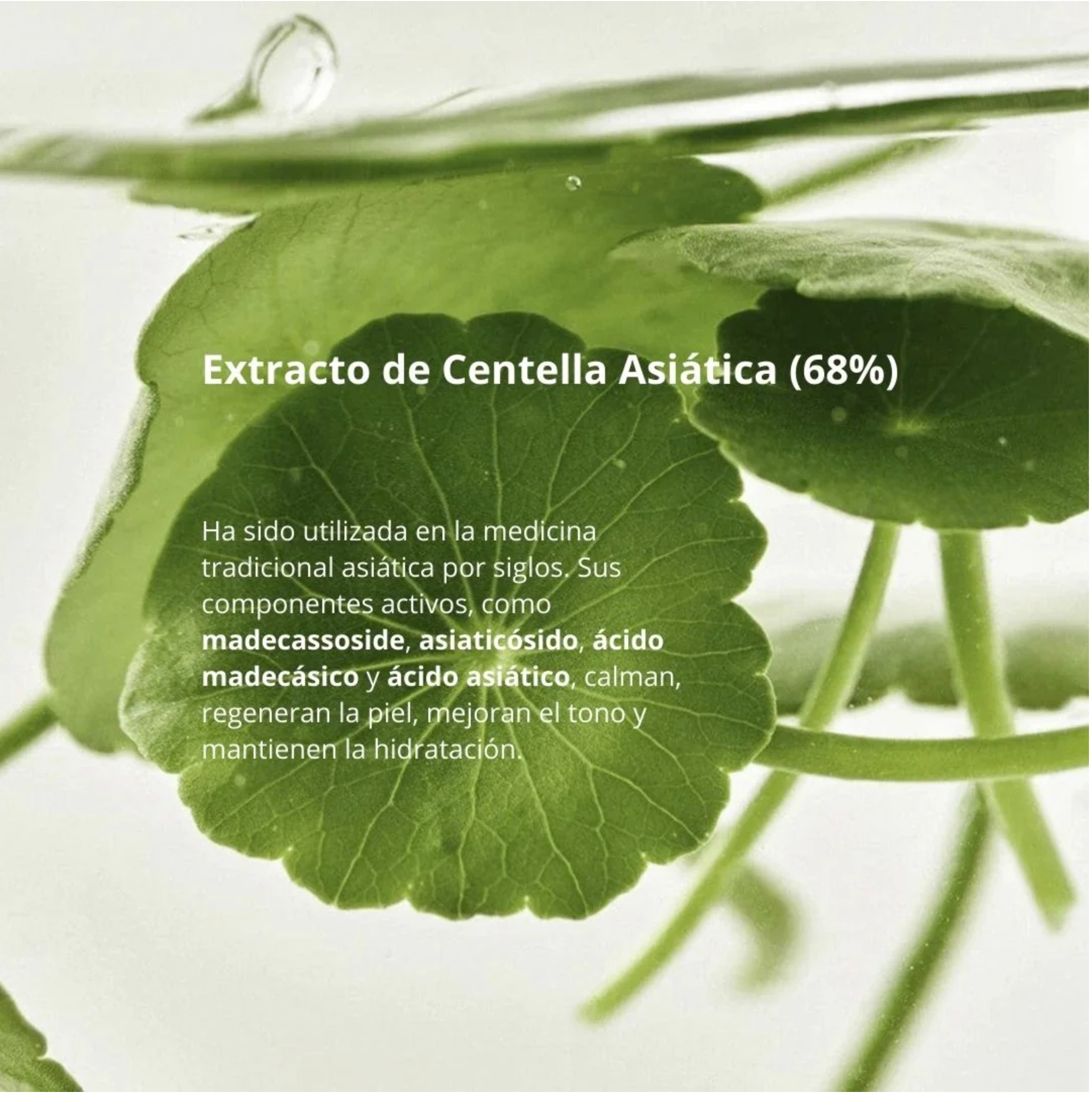 Beauty of Joseon “Light on Serum Centella + Vita C” 30ml