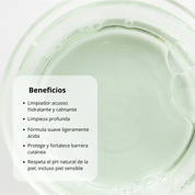 Beauty of Joseon Limpiador “Green Plum Refreshing Cleanser” 100ml